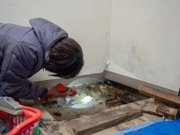 Best Air Quality Testing for Mold Spores  in Dunes City, OR