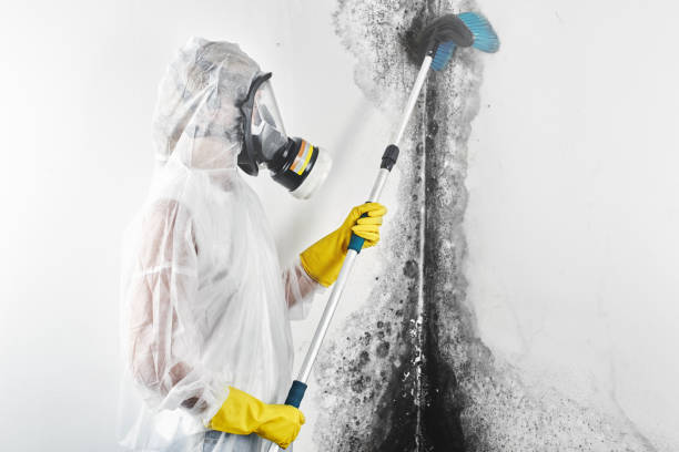 Mold Remediation for Vacation Homes in Dunes City, OR