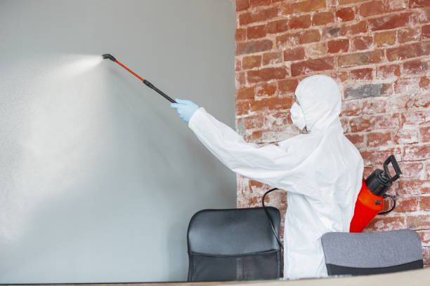 Best Air Quality Testing for Mold Spores  in Dunes City, OR