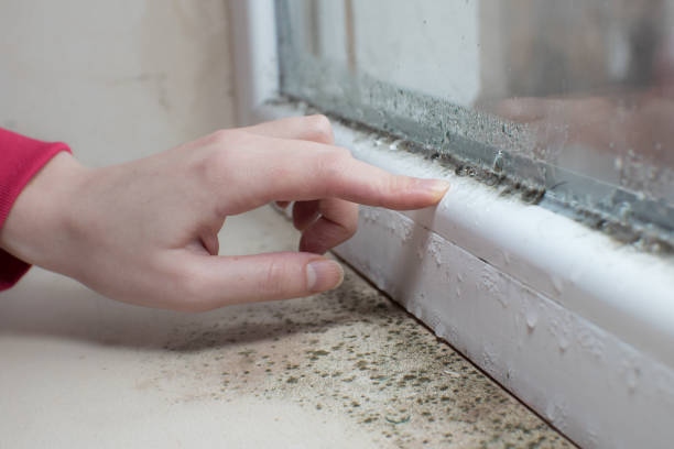 Best Post-Remediation Verification Testing  in Dunes City, OR