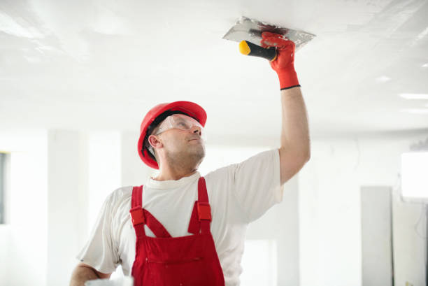 Best Basement Mold Removal  in Dunes City, OR